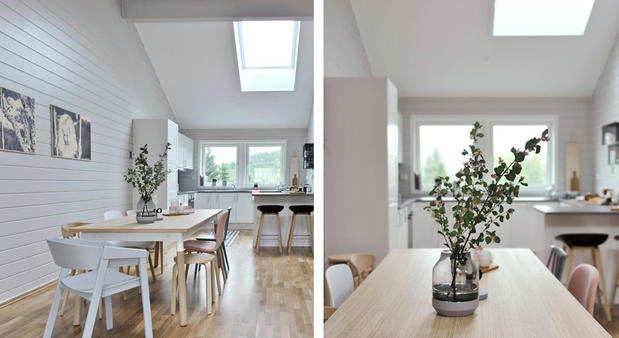 Images Michigan Skylight Pros