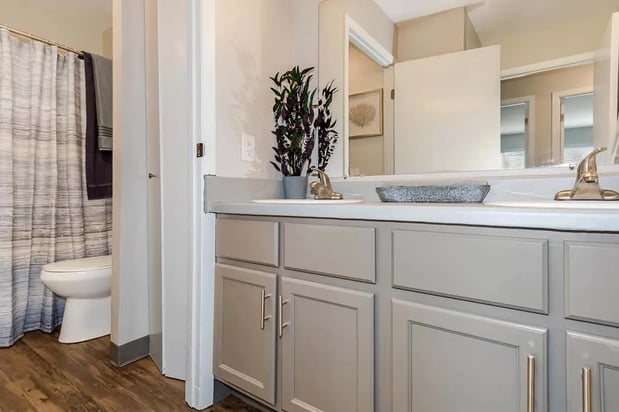 Images ReNew Madison Apartments