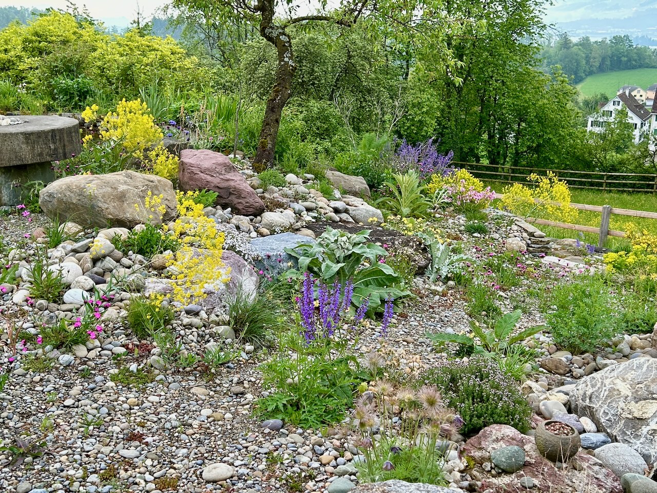 Bilder Wildblumendienst