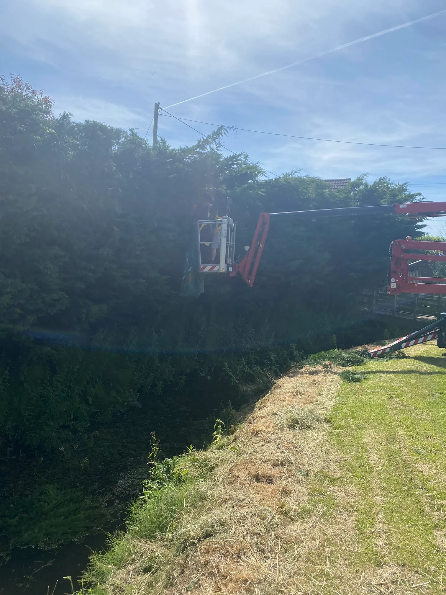 Images Wincanton Tree Care