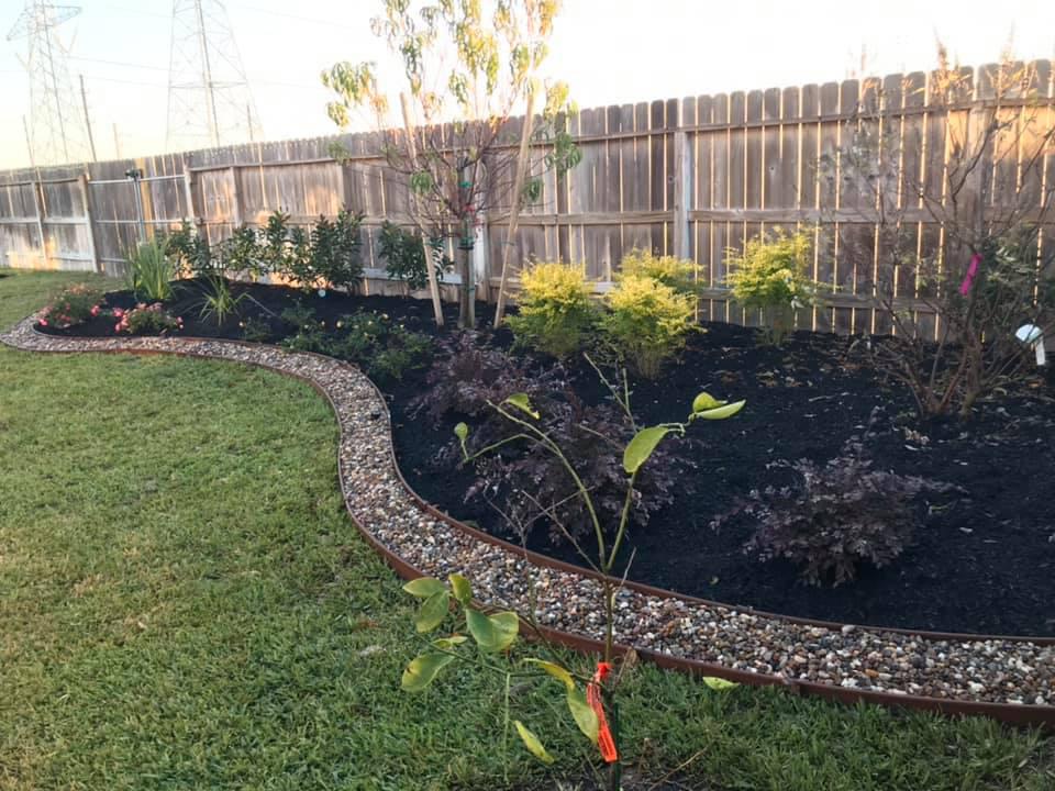 Cut Above Landscaping and Irrigation Photo