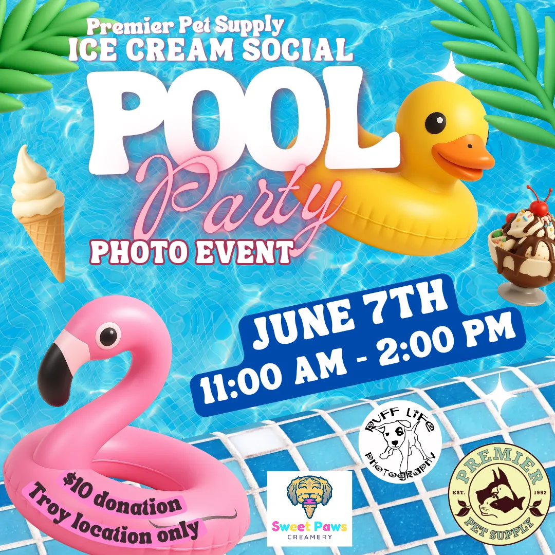 Image of Local Pet Event POOL PARTY, PHOTOS, & ICE CREAM SOCIAL | TROY Nearby