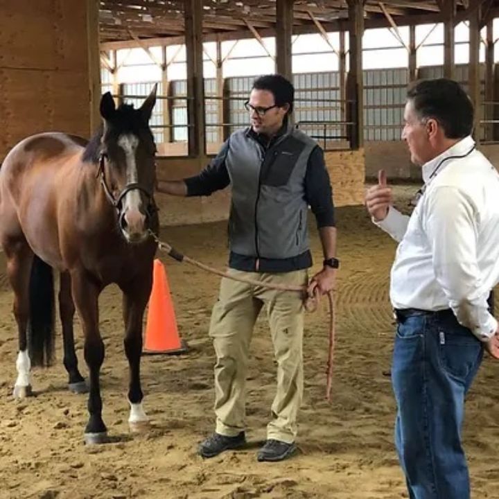 EAHAE International Association for Horse Assisted Education in Schkölen