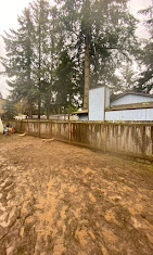 Images Alexa's Tree Service