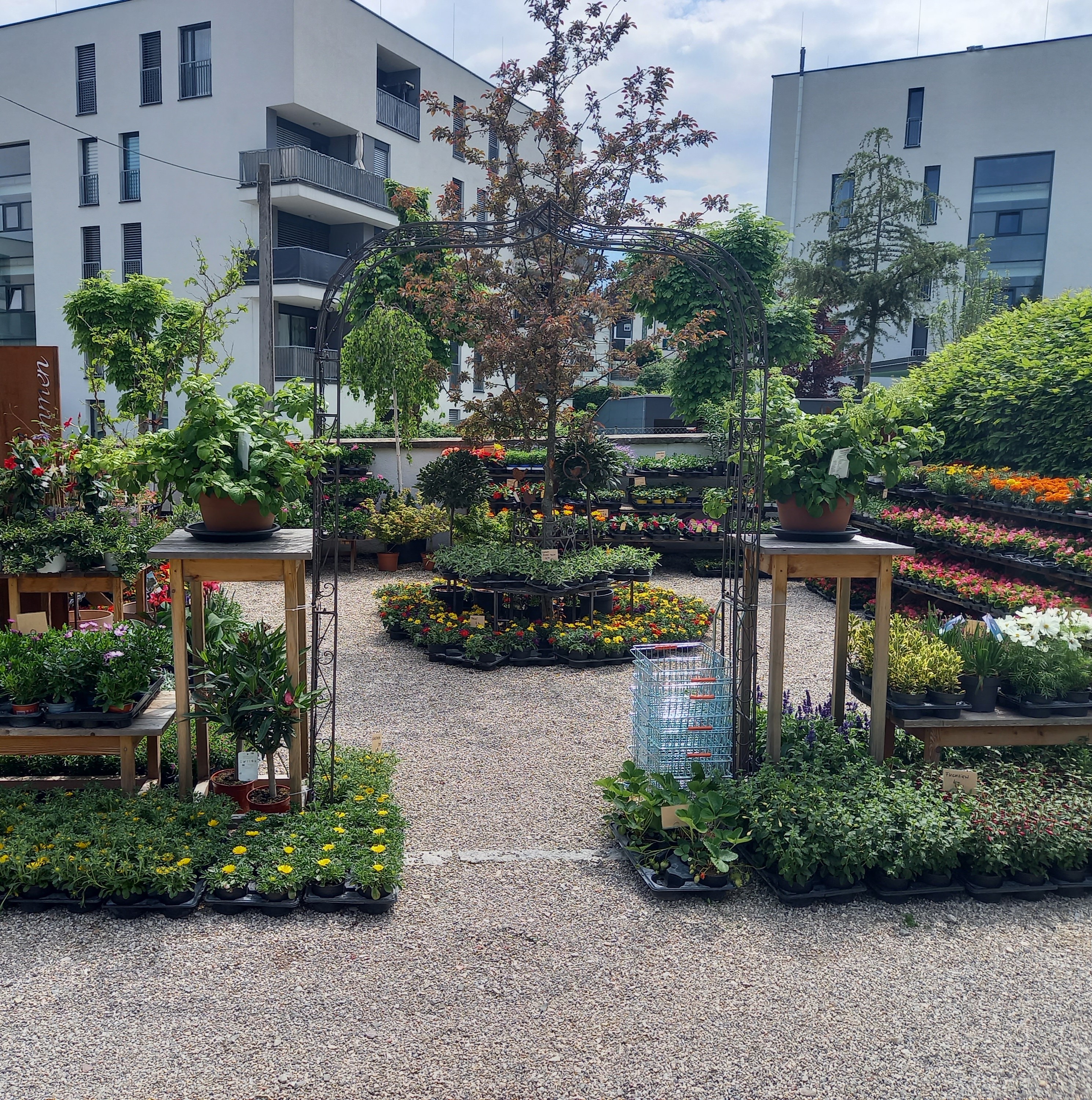 Bild 80 von Grün-Zone