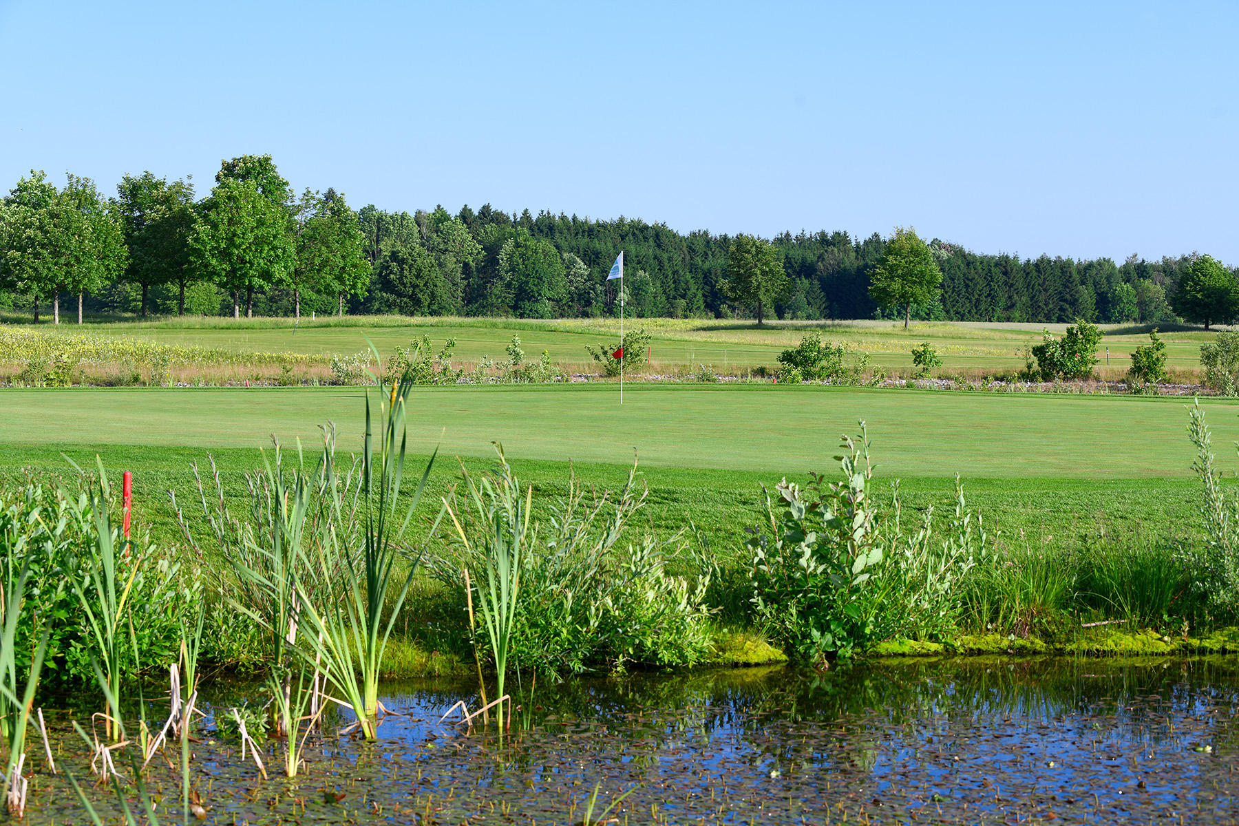 Bilder Golfanlage Harthausen