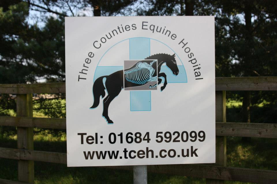Images Three Counties Equine Hospital