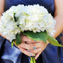 Liv Gracefully Blooms Image