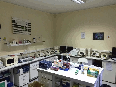 Images Analisi Cliniche Patanè