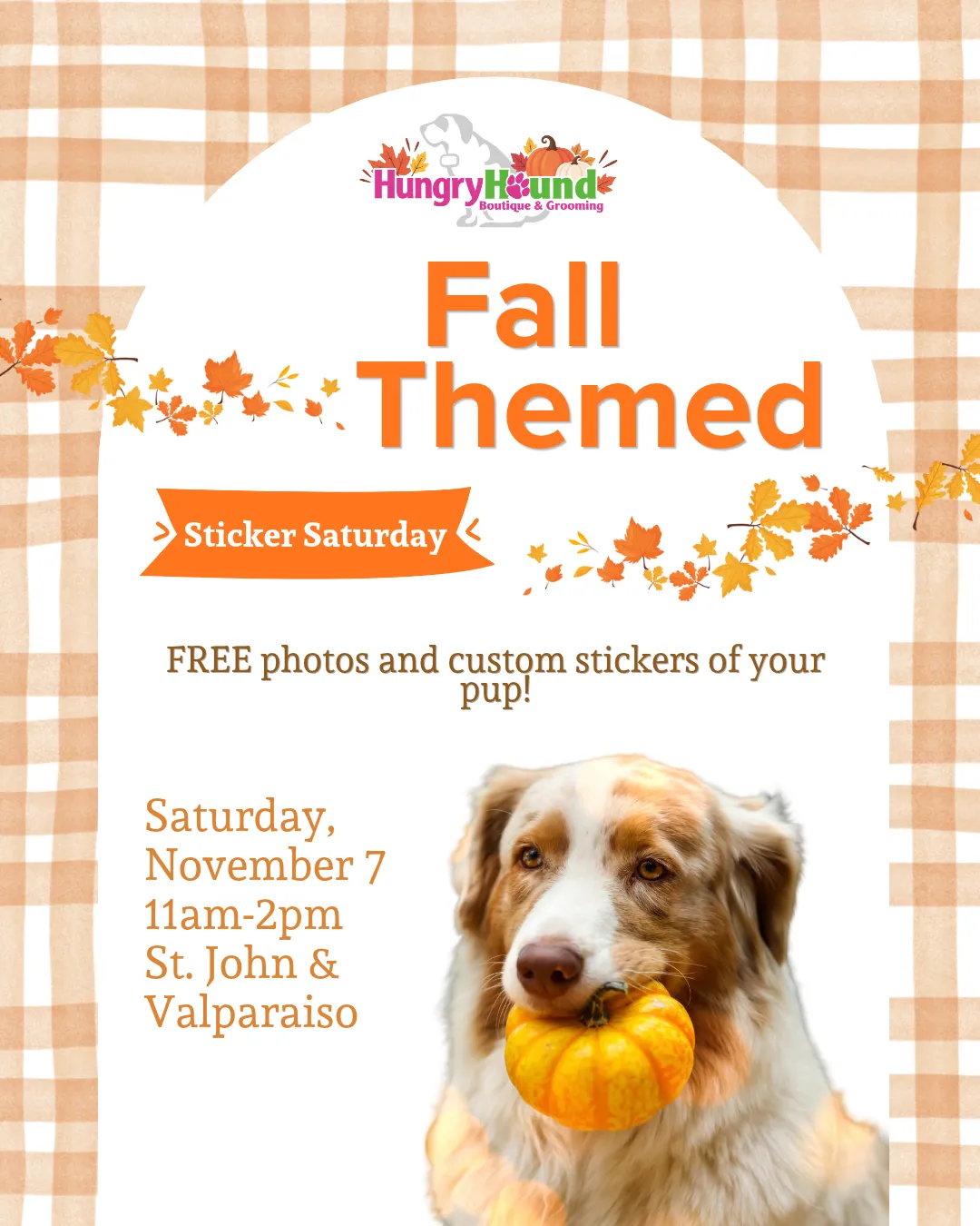 Image of Local Pet Event Fall-Themed Sticker Saturday Nearby