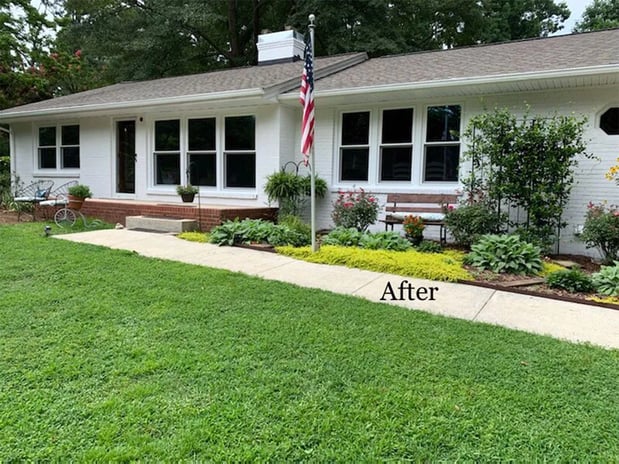 Images Window Xperts