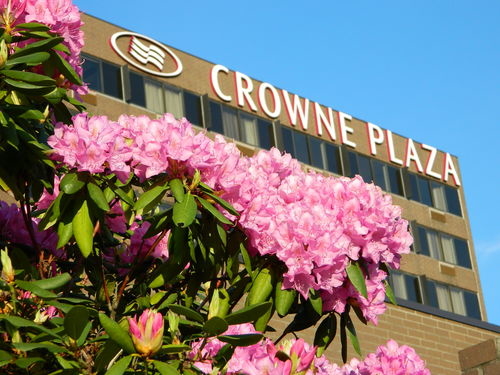 Crowne plaza coupons promotional codes