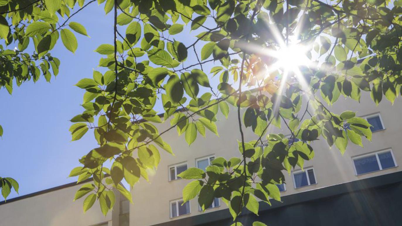 Images Svensk Röranalys