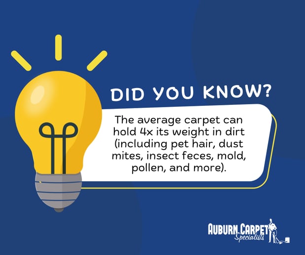 Images Auburn Carpet