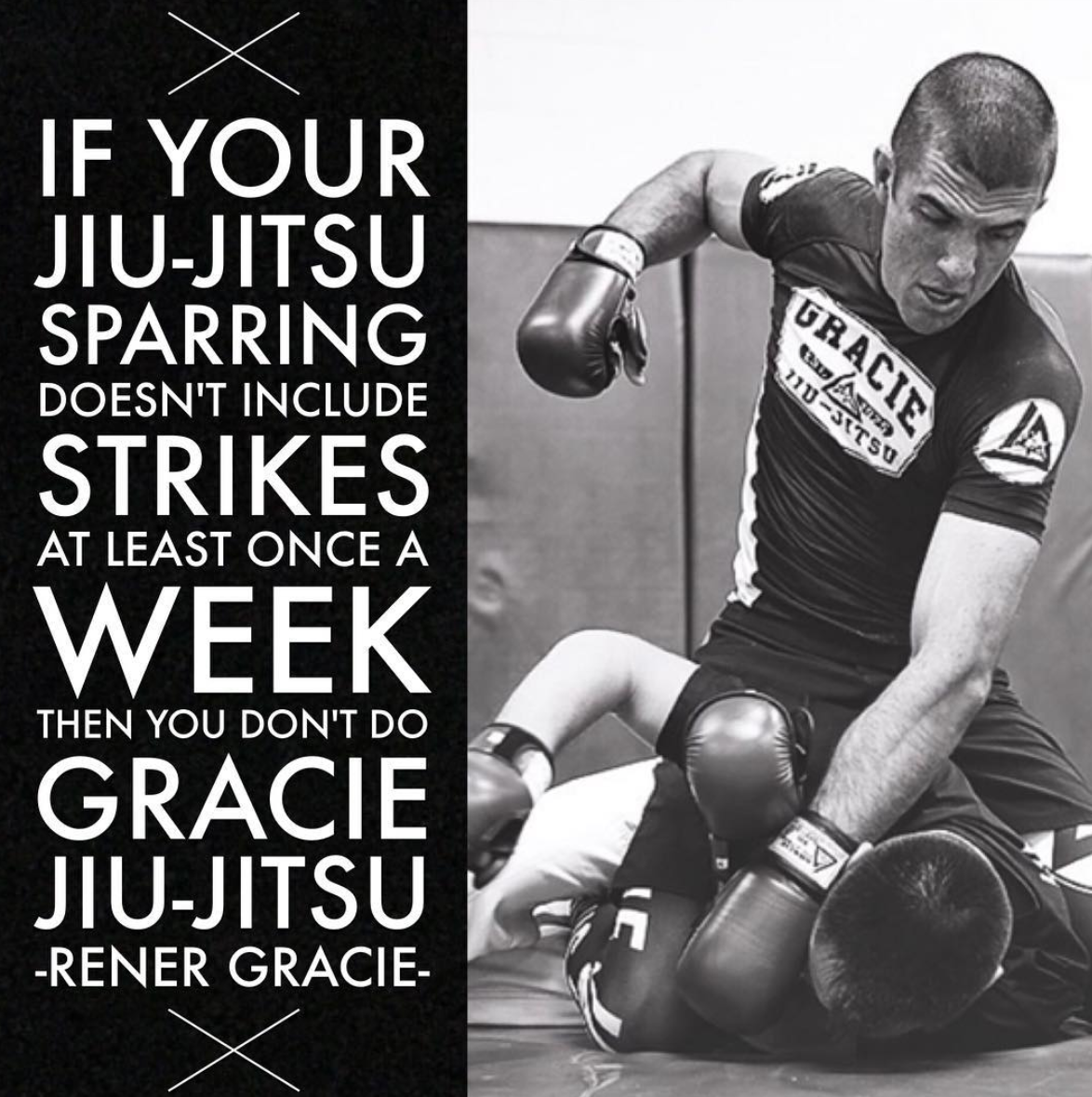 Ronin Athletics - Gracie Jiu Jitsu, Kickboxing, MMA NYC Photo